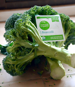 organic broccoli
