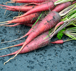 Our red carrots